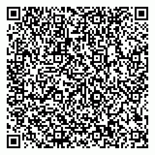 vCard 79585100376