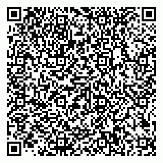 vCard 79585100377