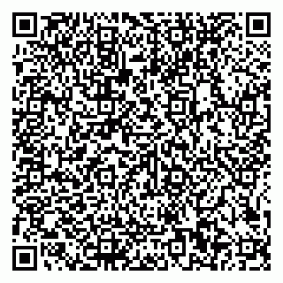 vCard 79585100378
