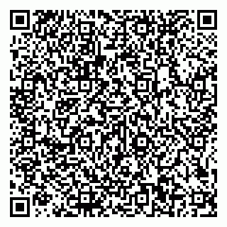 vCard 79585100379