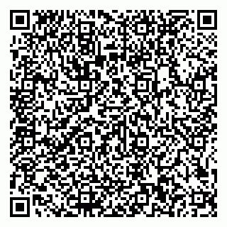 vCard 79585100380