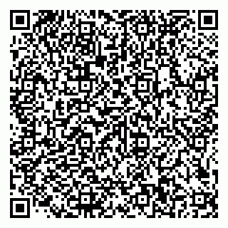 vCard 79585100381