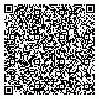 vCard 79585100382