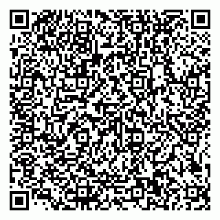 vCard 79585100384