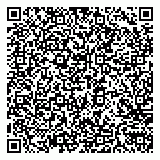 vCard 79585100386