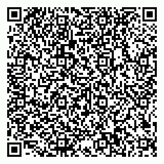 vCard 79585100387