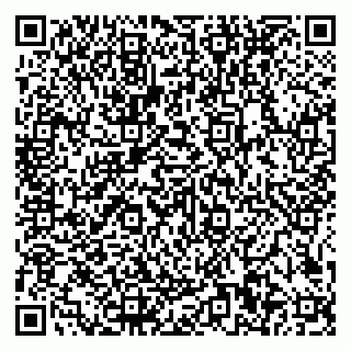vCard 79585100388