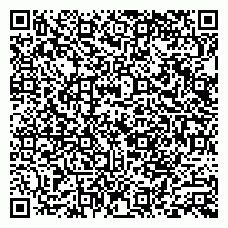 vCard 79585100389