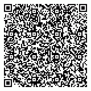 vCard 79585100392