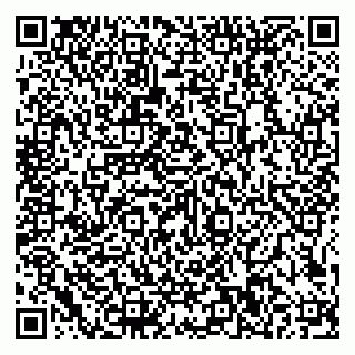 vCard 79585100393