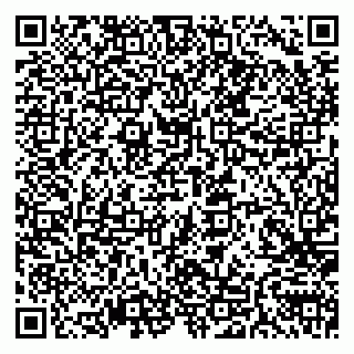 vCard 79585100394