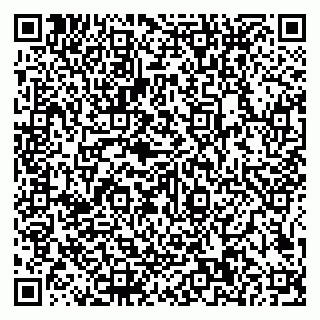 vCard 79585100396