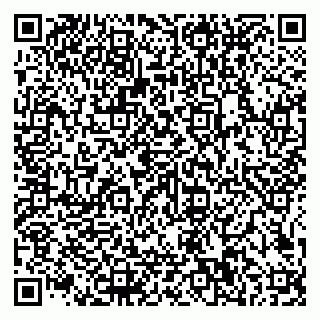 vCard 79585100397