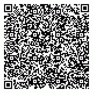 vCard 79585100398