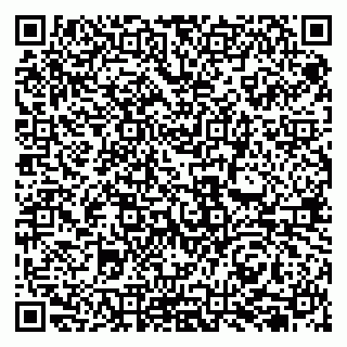 vCard 79585157631