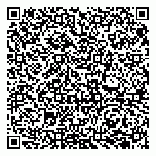 vCard 79585157731