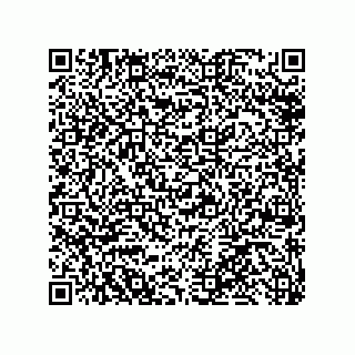 vCard 79585180009