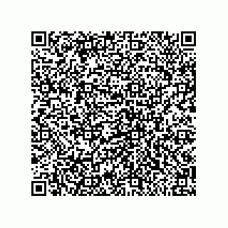 vCard 79585180011