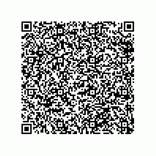 vCard 79585180132