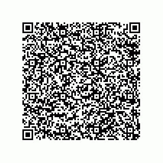 vCard 79585180163