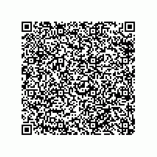 vCard 79585180173