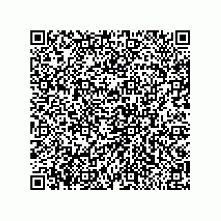 vCard 79585180177