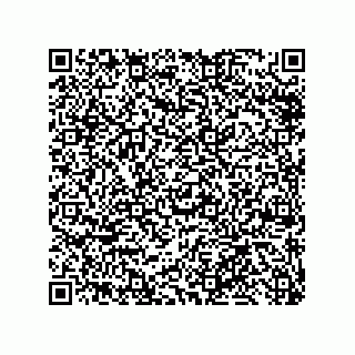 vCard 79585180195