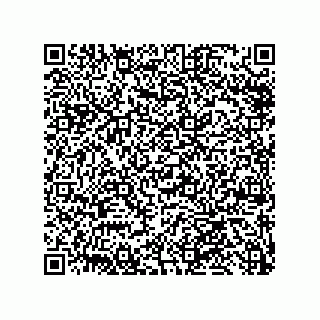 vCard 79585180196