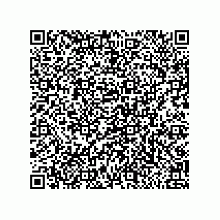 vCard 79585180210