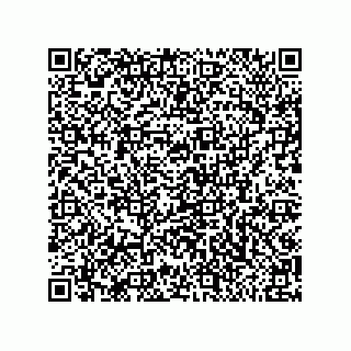 vCard 79585180217