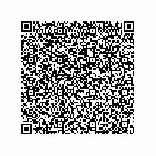 vCard 79585180224