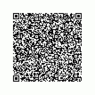 vCard 79585180229