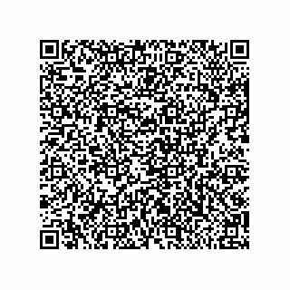 vCard 79585180231
