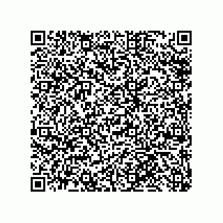 vCard 79585180241