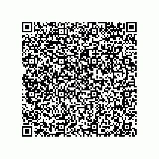vCard 79585180257