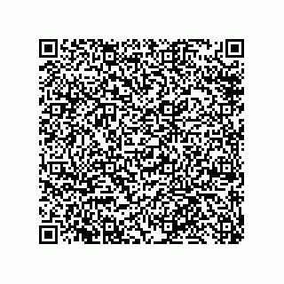 vCard 79585180265