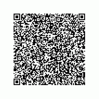vCard 79585180290