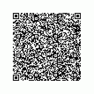 vCard 79585180291