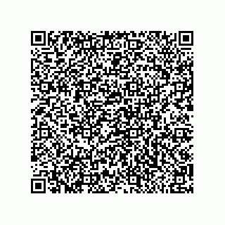 vCard 79585180297