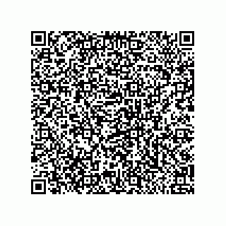 vCard 79585180300