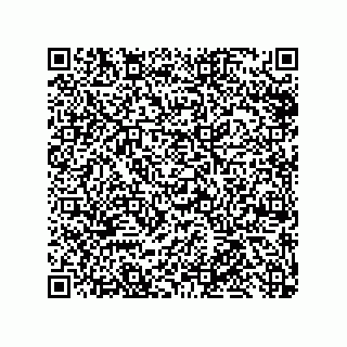 vCard 79585180313