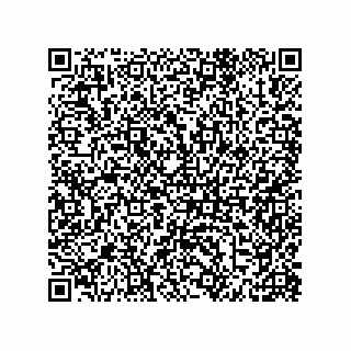 vCard 79585180325