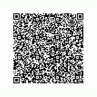 vCard 79585180329