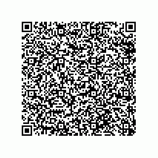 vCard 79585180330