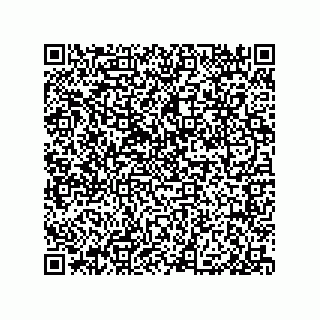 vCard 79585180331