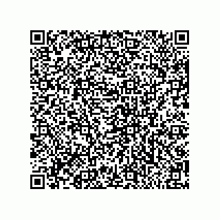 vCard 79585180333