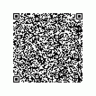 vCard 79585180334