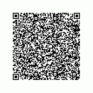 vCard 79585180337