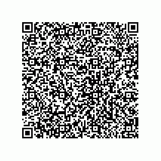 vCard 79585180368