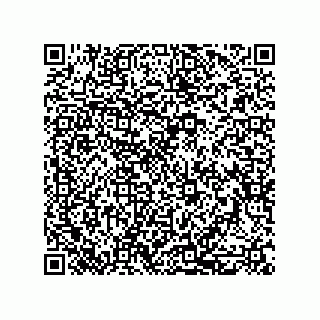 vCard 79585180371